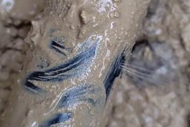 Fuite d'eau detectée 